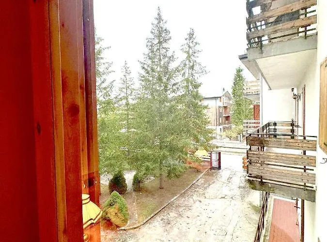 The Flowers - Casa Calicanto Roccaraso